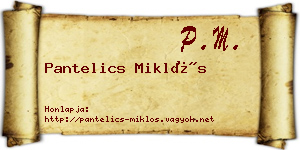 Pantelics Miklós névjegykártya